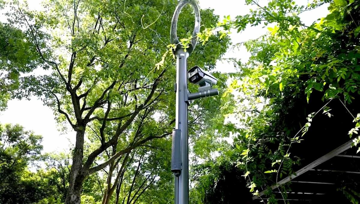 浙江省宁波市首个“智慧公园”智慧路灯杆项目案例
